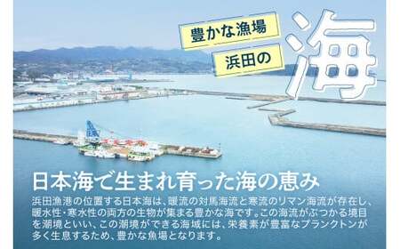 【定期便】どんちっち浜田【極上】の鮮魚 15回～最高級この男シリーズ～ 【006_2053】