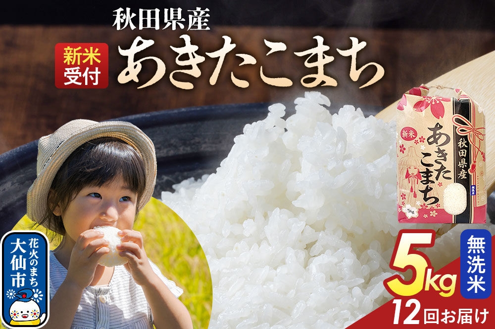 
                  《令和8年産新米予約》 《定期便12ヶ月》【無洗米】あきたこまち 5kg 秋田県産  こまちライン 秋田県 大仙市産 [秋田 お米 米どころ あきたこまち こまちライン]
                