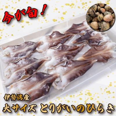 ふるさと納税 明和町 【期間限定】とりがいのひらき 旬 おすすめ 大サイズ