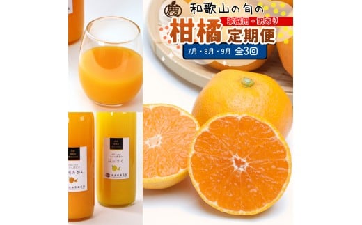 家庭用 柑橘定期便S（7～9月）全3回 ［IKE305］
