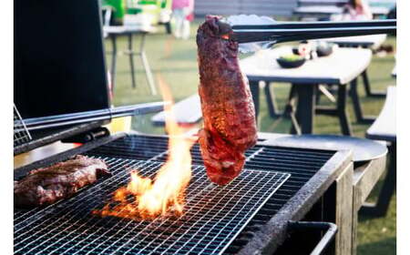 ツマギアンズ貸切利用券（休日1名様・テント泊プラン）人数分のBBQ食材付き (KDQ-29)