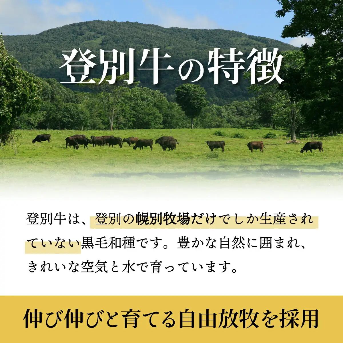 「登別牛100％使用ハンバーグ 120g×5個」