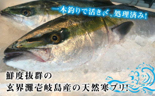 壱岐島産天然寒ブリ（11ｷﾛ台・3枚おろし） [JBS032]
