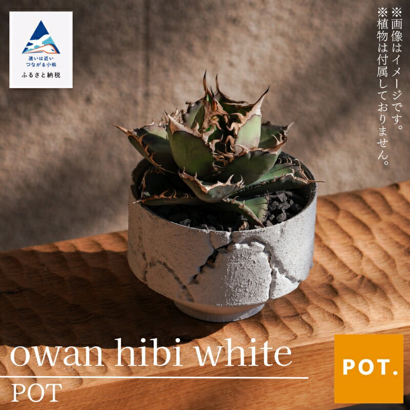【ふるさと納税】owan hibi　white POT ポット 植物 容器 ガーデニング 植木鉢 フラワーポット インテリア 人気 ランキング インテリア ギフト おすすめ ギフト 小松市 こまつ 石川県 ふるさと 故郷 納税 009065【POT】