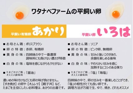 [平飼い卵食べ比べ] 平飼い有精卵あかり・平飼い卵いろは 各15個 合計30個｜矢板市産 こだわり卵 たまご 玉子 生卵 鶏卵 [0432]