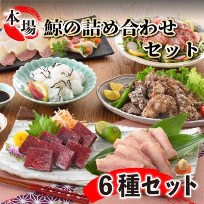 ふるさと納税 下関市 下関鯨屋 日新丸 鯨の詰合せ 6種(竜田揚、赤身肉、おばいけ、舌ボイル 他) 下関 山口 FG036