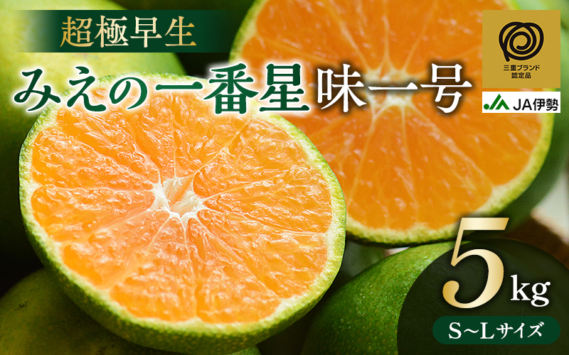 【三重ブランド認定品】 みかん JAみえの一番星 (味一号)  超極早生 約5kg S～Lサイズ  光センサー選果 | みかん ミカン 蜜柑 温州みかん 温州ミカン 柑橘 フルーツ 果物 くだもの 甘い 旬 人気 果汁 濃厚 ジューシー デザート 産地直送 みかん 国産 お取り寄せ 新鮮 期間限定 季節限定 先行予約 みかん おすすめ 三重県 熊野市【isen0001】