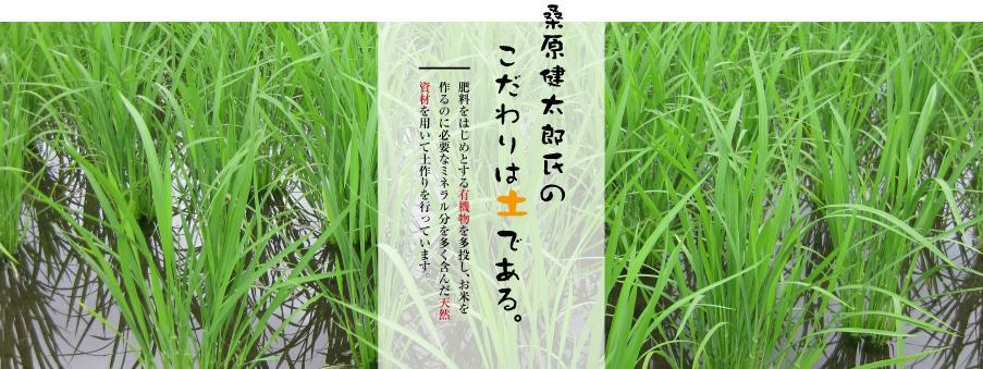 【令和8年産先行予約】【12ヶ月定期便】最高級魚沼産コシヒカリ【ダイヤモンド褒賞受賞 特別栽培米】 5kg（5kg×1袋）