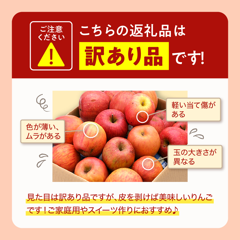 【令和6年産 先行予約】※訳あり※ サンふじ満杯詰(約9.5kg) 東根市 山形県 東根農産センター提供　hi027-131