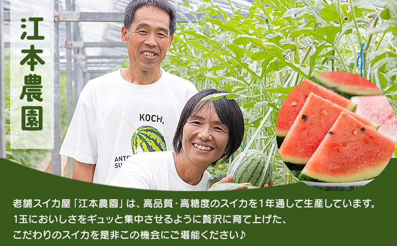 江本農園の初夏のアンテナスイカ2玉 - 数量限定 のし 熨斗 高知県産 果物 くだもの フルーツ すいか 西瓜 スイカ 糖 完熟 甘い 瑞々しい ハウス栽培 ジューシー 果汁 果実 贈り物 贈答 プレ