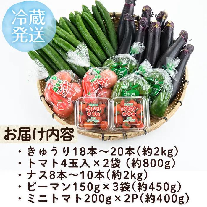 ＜数量限定・期間限定＞高千穂地区高冷地野菜詰め合わせ(5種) やさい きゅうり ピーマン トマト ミニトマト なす 茄子 冷蔵 季節 新鮮 旬 産地直送 【NK017】【宮崎県農業協同組合　高千穂地区