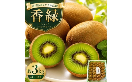 
                  キウイフルーツ 香緑 こうりょく 香川県産 小豆島 国産 約3kg 24～33玉 3L～Mサイズ 濃厚 ジューシー 甘み 緑の果肉 香川オリジナル品種 グリーンキウイ 国産キウイ キウイ 果物 フルーツ 果実 ギフト 贈答用 五色青果 香川 土庄 香川県 土庄町
                
