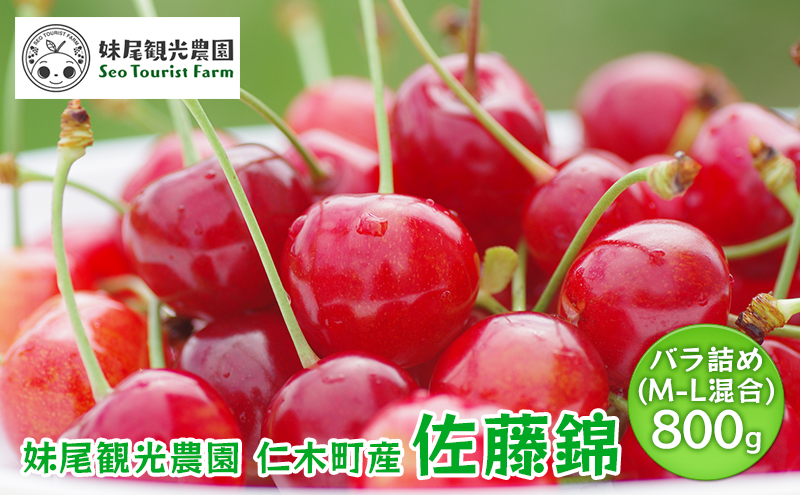 北海道 仁木町産 さくらんぼ 「佐藤錦」 バラ詰め M-L混合 800g 　国産 旬のフルーツ 旬の果物 デザートサクランボ チェリー フルーツ 果物 果物類 仁木町 仁木 [フルーツショップ妹尾観光農園]