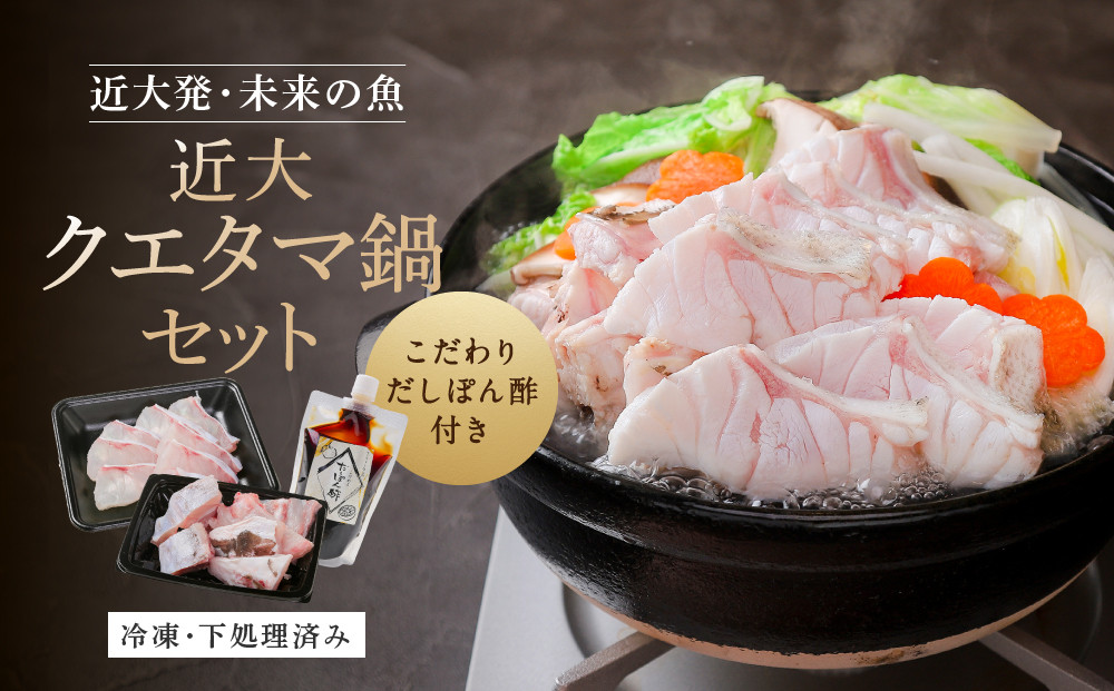 近大クエタマ鍋セット500g（2027年2月上旬～2月中旬発送） 304018_A021