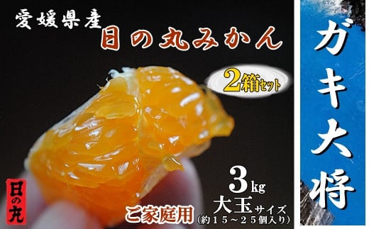 
                  自然の恵み!「ガキ大将」3kg(大玉サイズ)日の丸みかん/2箱セット/ご家庭用＜C79-12＞【1452035】
                