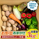 【ふるさと納税】 先行予約 8月下旬～11月下旬発送！ 漉磯さんのお野菜おまかせ詰め合わせセット あやちゃんの野菜3kg 人気TV番組で紹介されました！ 三陸山田 岩手県山田 山田産 野菜 なす ピーマン にんじん 里芋 じゃがいも 里芋 根菜 きのこ 白菜 YD-561