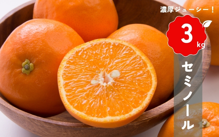 【先行予約】橋本農園の セミノール 3kg 【2025年3月中旬から4月中旬に順次発送】 / セミノール 柑橘 フルーツ 果物 くだもの 先行予約 【mht016】