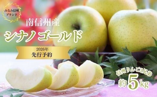 りんご シナノゴールド 約5kg ／ 2026年10月下旬～11月上旬ごろ配送予定[JA14]//長野県 糖度センサー選別 オリジナル品種 南信州産 贈答 ギフト 濃厚 甘い 酸味 かため 硬め シャ