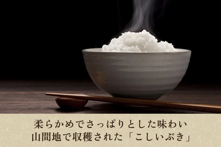 【令和6年産米】加茂市産こしいぶき（精米） 2.5kg（2.5kg×1）白米 米 加茂市 捧運次商店