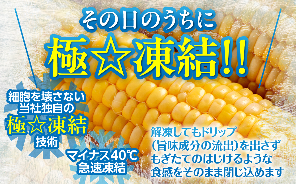 極☆凍結 北海道産 スイートコーン とうもろこし 2Lサイズ 6本入り HOKP001