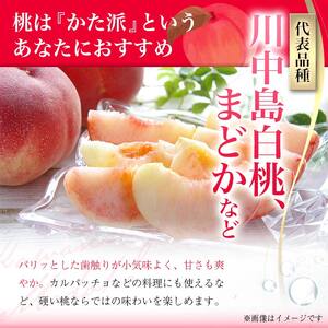 《2025年先行予約》【超高糖度13度】川中島白桃 秀品 15～20玉  もも モモ 桃 デザート フルーツ 果物 くだもの 果実 食品 山形県 FSY-0442
