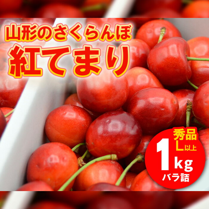 山形のさくらんぼ 紅てまり 1kg Lサイズ以上 バラ詰 【令和8年産先行予約】