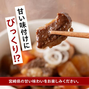根菜の煮込み（牛すじ入）1.2㎏ 牛肉 加工食品
