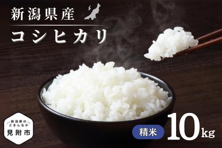 令和7年産 新潟県産 コシヒカリ 10kg 精米 米 お米 白米 コシヒカリ こしひかり おすすめ 人気 こめ コメ 新潟 見附 見附市 7年 2025年産 ふるさと納税 諸長