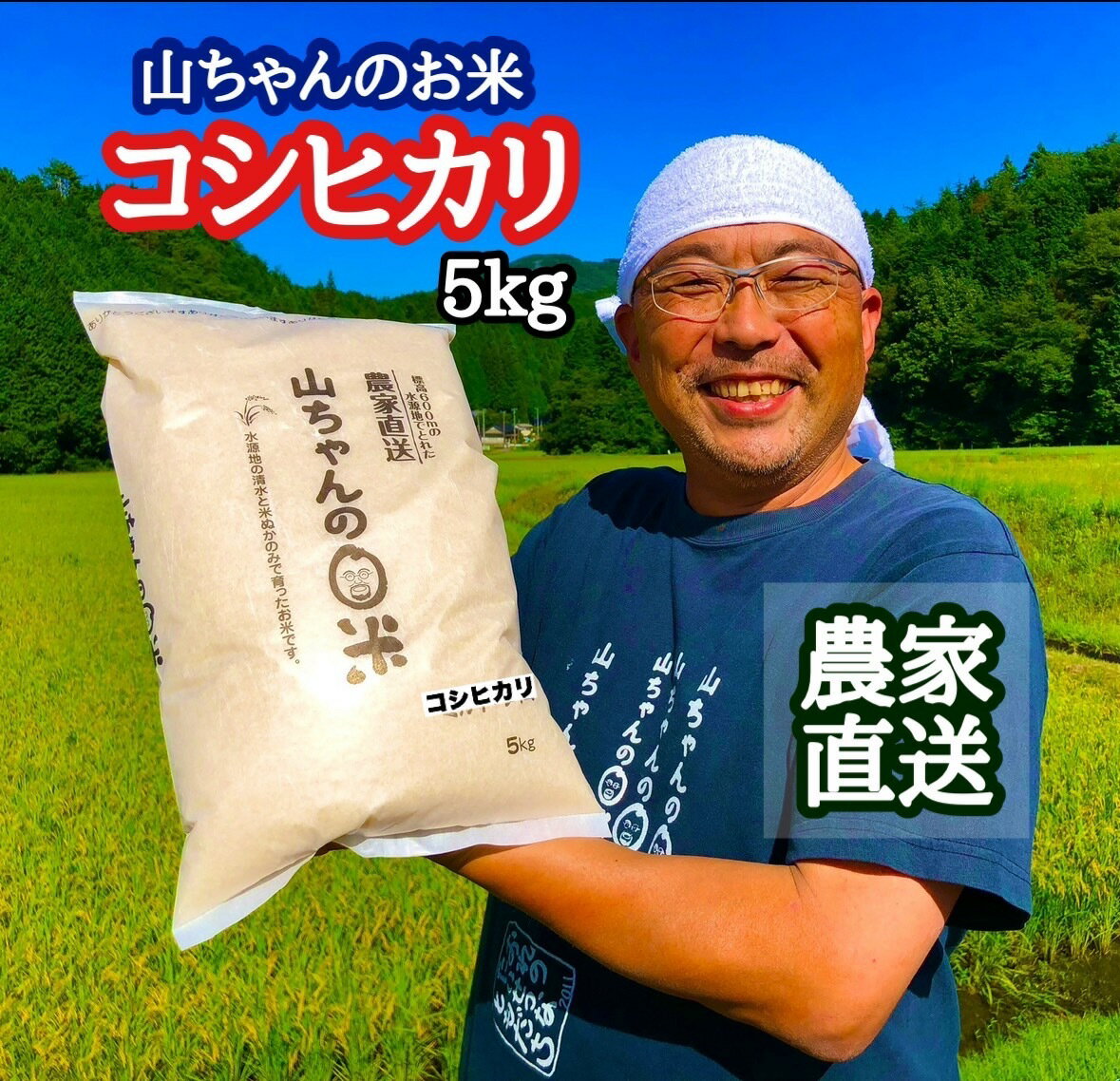 【ふるさと納税】【10月1日発送開始】 米 お米 令和7年度 産 新米 山ちゃん の コシヒカリ 5kg 農家直送 残留 農薬 202項目 検査済み 残留 放射能 測定済み 送料無料 486