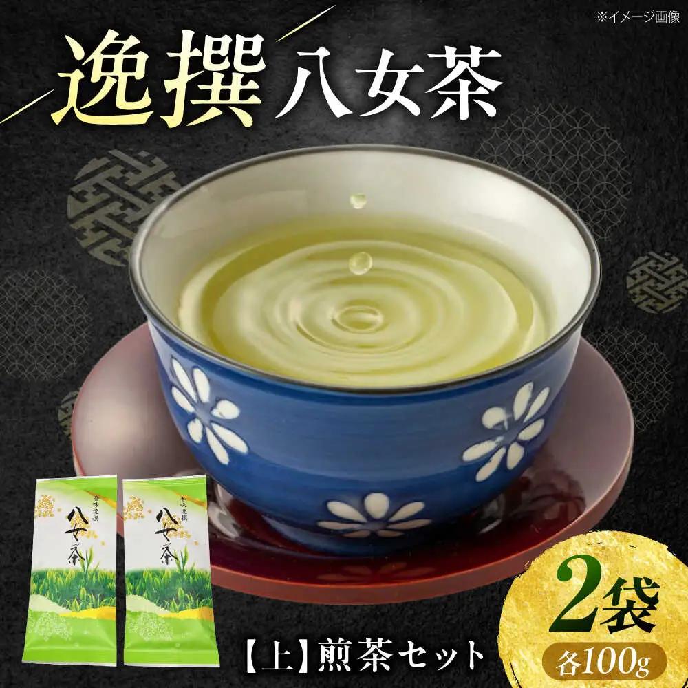 八女茶【上】煎茶セット 100g×2袋 [VEH017]