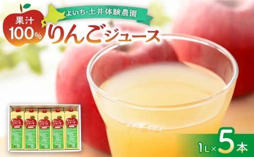 北海道余市町産 太陽の恵み 果汁100% りんごジュース 1L×5本入り 有機栽培 ストレート果汁