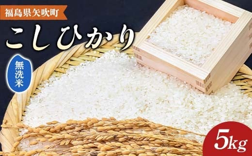 令和7年産〈無洗米〉 福島県矢吹町の美味しいこしひかり 5kg コシヒカリ コメ 米 F6U-398