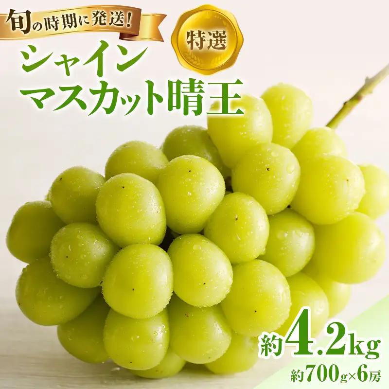 シャインマスカット 晴王 特選大房 岡山県産 シャインマスカット【6房 約700g】【先行予約】