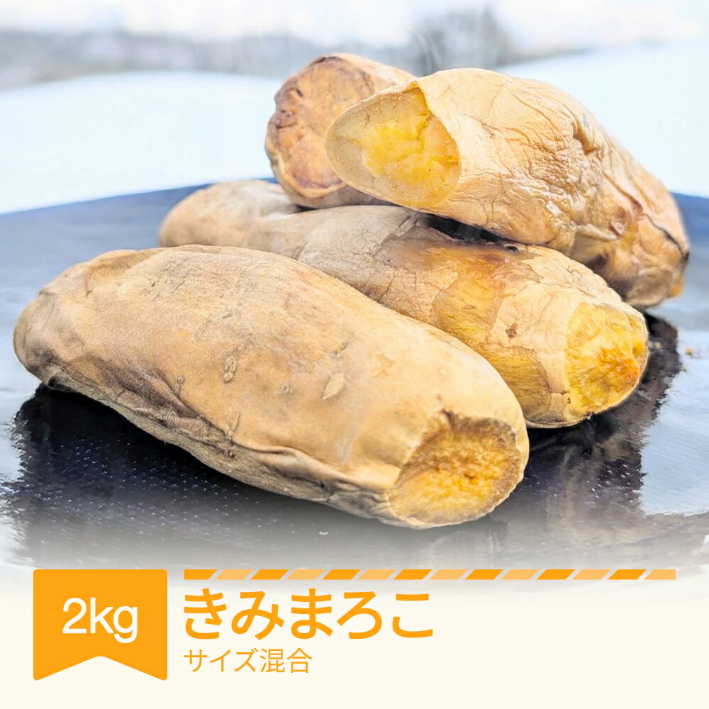 【ふるさと納税】さつまいも きみまろこ 約2kg 村山市産 2025年産 令和7年 山形県産 芋 送料無料 ※沖縄・離島への配送不可 no-spkmx2