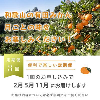 ふるさと納税 湯浅町 【発送月固定定期便】季節の柑橘定期便B【フルーツ定期便】【和歌山県有田】全3回 |  | 01