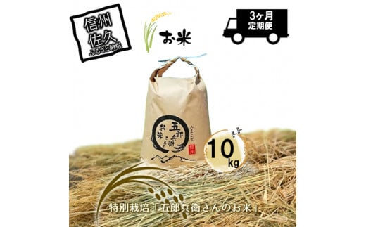 【令和7年産・白米10kg×定期便3ヶ月】「五郎兵衛さんのお米」 ＜2025年10月初旬以降順次配送＞ 長野県 信州 新米 こしひかり【五郎兵衛米 新米 米 コメ 白米 精米 お米 こめ おこめ 備蓄品 仕送り おすそ分け 備蓄米 コシヒカリ こしひかり 長野県 佐久市 】