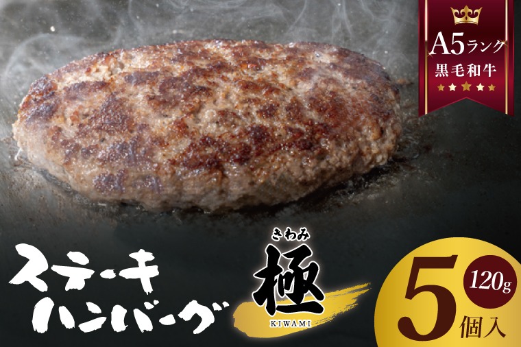 黒毛和牛　A5ランク　ステーキハンバーグ 極 120ｇ×5食入【埼玉県　春日部　国産　惣菜 冷凍　湯煎　レンジ調理　レンチン】（DH001）