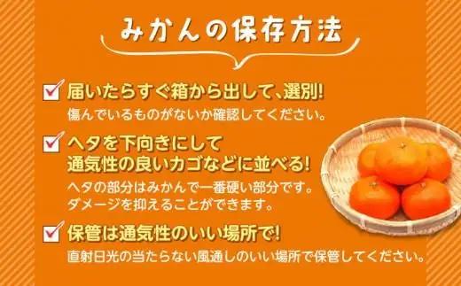 早生 みかん 3kg 【贈答用】 みかん 静岡 沼津