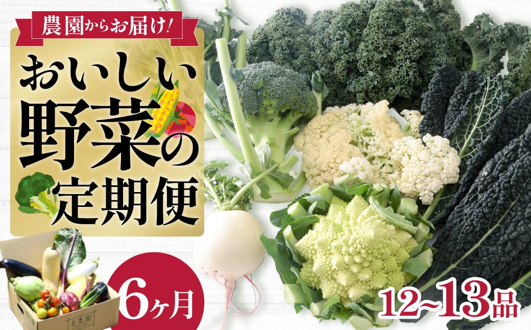 西洋野菜 一般野菜 旬野菜セット 12〜13品 6ヶ月 | 減農薬 野菜ソムリエ 旬野菜 イタリア野菜 珍しい 食べ比べ 生野菜 サラダ 野菜セット 詰め合わせ ギフト レシピ 贈り物 国産 朝採れ 新鮮野菜 季節の野菜 産直 食品ギフト 手土産 良農園 群馬県 前橋市