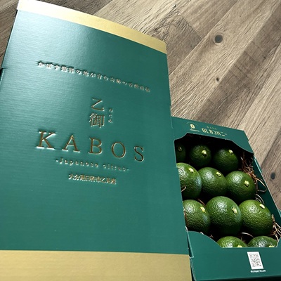 【ANA限定】贈答用高級【乙御KABOS】24玉　かぼす発祥の地臼杵市乙見・ブランドかぼす