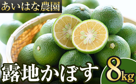 露地カボス(約8kg)かぼす カボス 柑橘 特産品 大分県産【107100702】【あいはな農園】