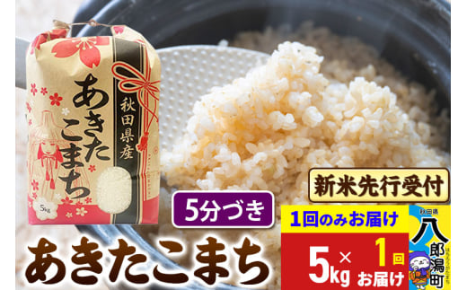 《令和7年産 新米受付》あきたこまち 5分搗き 5kg 秋田県産 こまちライン