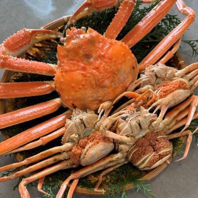 ふるさと納税 岩美町 鳥取網代港【訳あり】浜茹で!松葉ガニ・セコガニセット(大)【さかなや新鮮組】 |  | 01