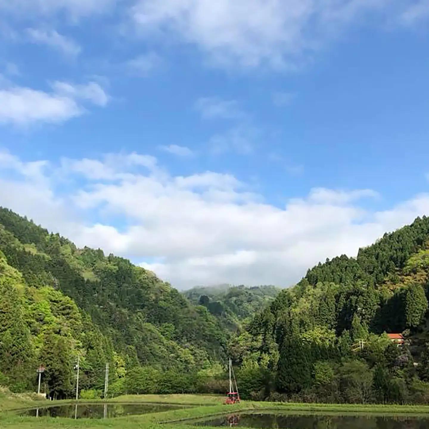 杵つき玄米もち 240g×5袋 | 杵つき もち 玄米もち 餅 ぜんざい 島根県雲南市/株式会社吉田ふるさと村[AIBB018]