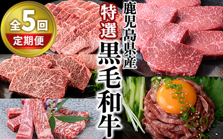 ＜定期便・全5回＞ 特選 黒毛和牛 定期便 国産 鹿児島県産 【 カミチク 】T10-v01