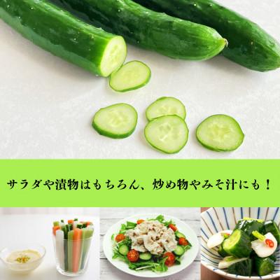 ふるさと納税 矢吹町 ミネラル豊富な土とたっぷりの日光で育ったきゅうり!【50本入り】 |  | 02