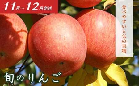 ［3回定期便］ 信州フルーツ3回コース ［小布施屋］ 定期便 先行予約 フルーツ 数量限定 白桃 シャインマスカット ぶどう りんご お楽しみ 3回お届け 長野県産 信州産 令和8年産 【2026年7