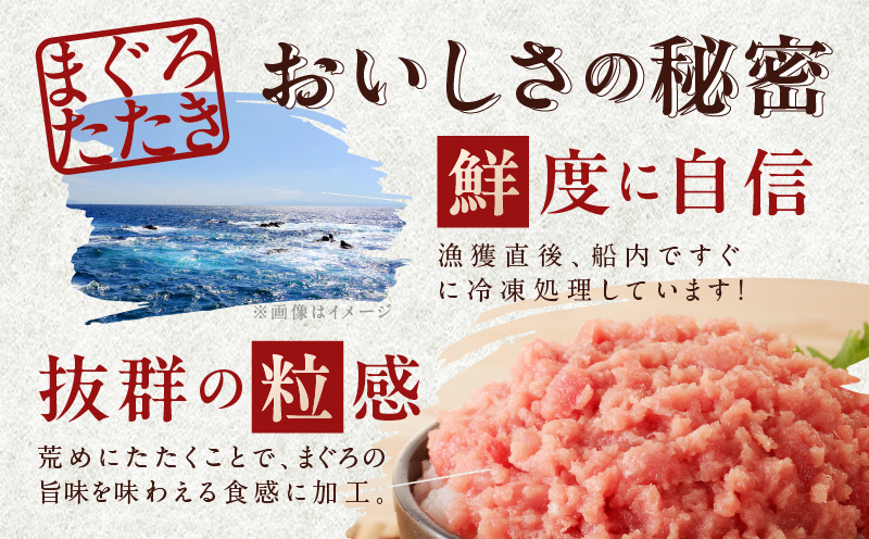 【天然鮪使用】ねぎとろ 1kg 小分け 100g×10パック【小分け 海鮮丼 人気 オススメ 小分け 冷凍 簡単調理 一人暮らし 東洋冷蔵】 010B1086