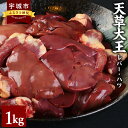 【ふるさと納税】天草大王 レバー ハツ 1kg 鶏肉 国産 九州産 熊本県産 天草 地鶏 焼き鳥 パテ 冷凍 送料無料