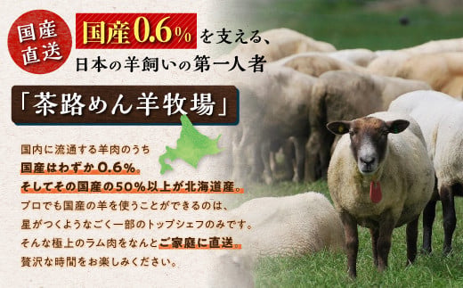 焼肉用ラム肉スライス【250g×2パック、オリジナルスパイス10g】_I020-0442